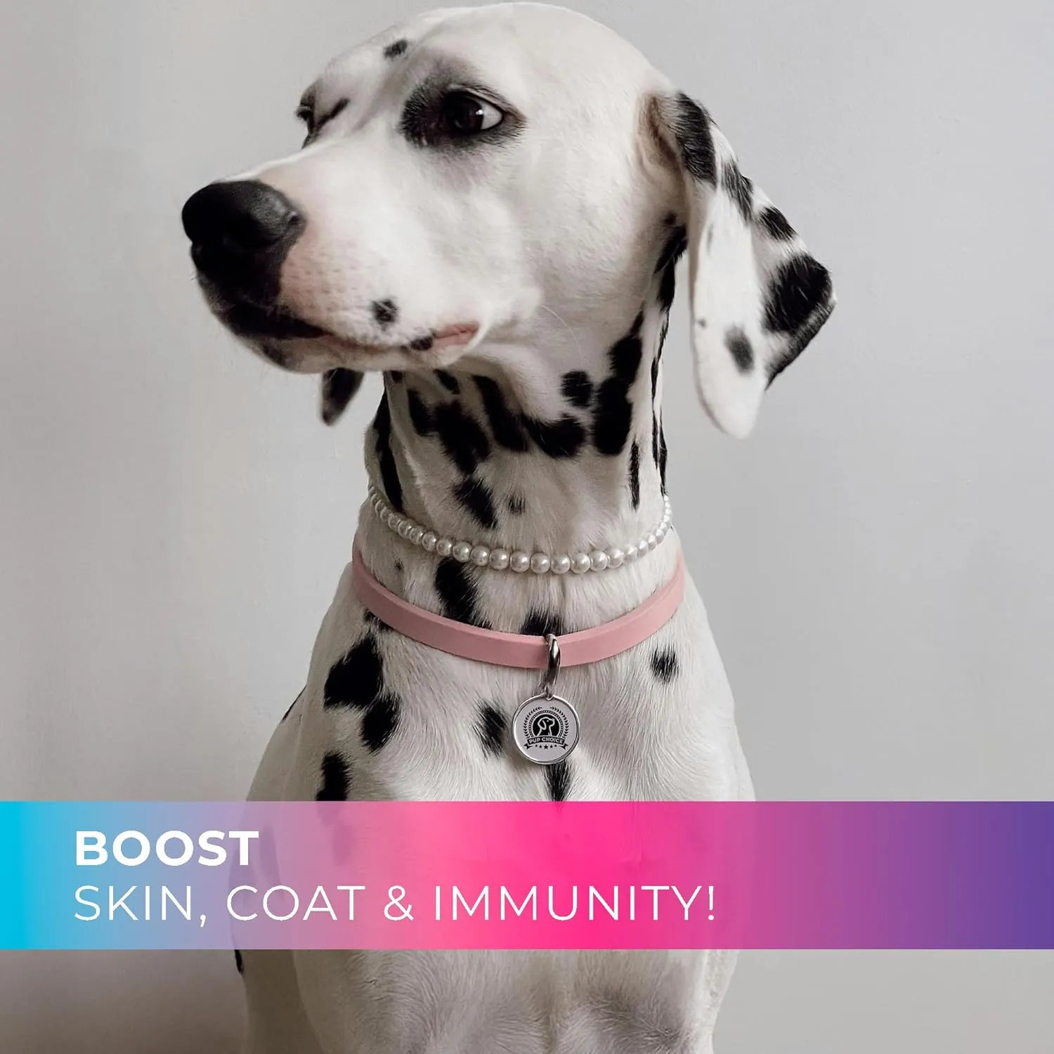 14-in-1 Multivitamin Treats for Dogs - PhD Endorsed 8 Vitamins, Biotin, Probiotics, Glucosamine - Daily Wellness, Immunity, Skin & Coat, Mobility 140 Treats - Beef Flavor - Made in USA