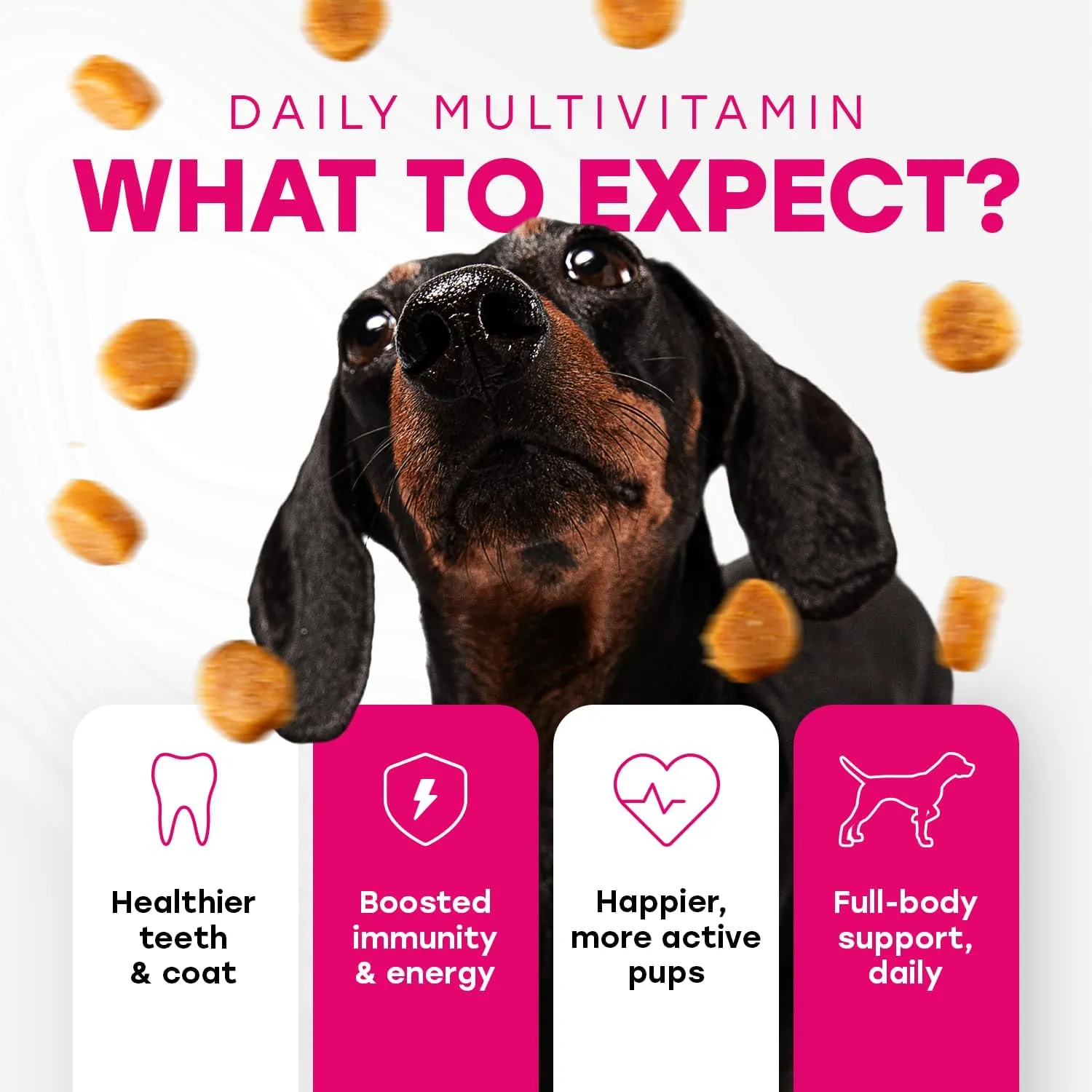 14-in-1 Multivitamin Treats for Dogs - PhD Endorsed 8 Vitamins, Biotin, Probiotics, Glucosamine - Daily Wellness, Immunity, Skin & Coat, Mobility 140 Treats - Beef Flavor - Made in USA