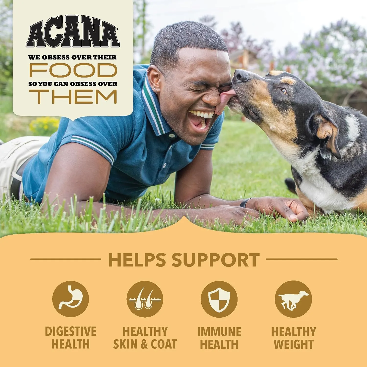 ACANA Wholesome Grains Dry Dog Food, Free-Run Poultry, Real Chicken & Turkey and Eggs Dog Food Recipe, 22.5lb