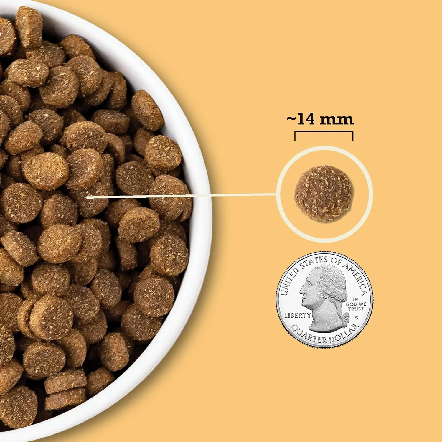 ACANA Wholesome Grains Dry Dog Food, Free-Run Poultry, Real Chicken & Turkey and Eggs Dog Food Recipe, 22.5lb