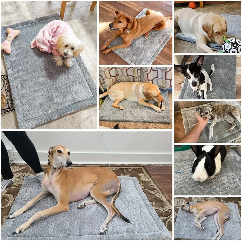 BEAUTYZOO Dog Bed Crate Mat Washable, Dog Kennel Pad for Small Dogs, Anti-Slip Soft Fluffy Puppy Sleeping Mattress for Cages, Durable Cozy Pet Travel Car Bed 24 x 18 Inch, Gray Wheat
