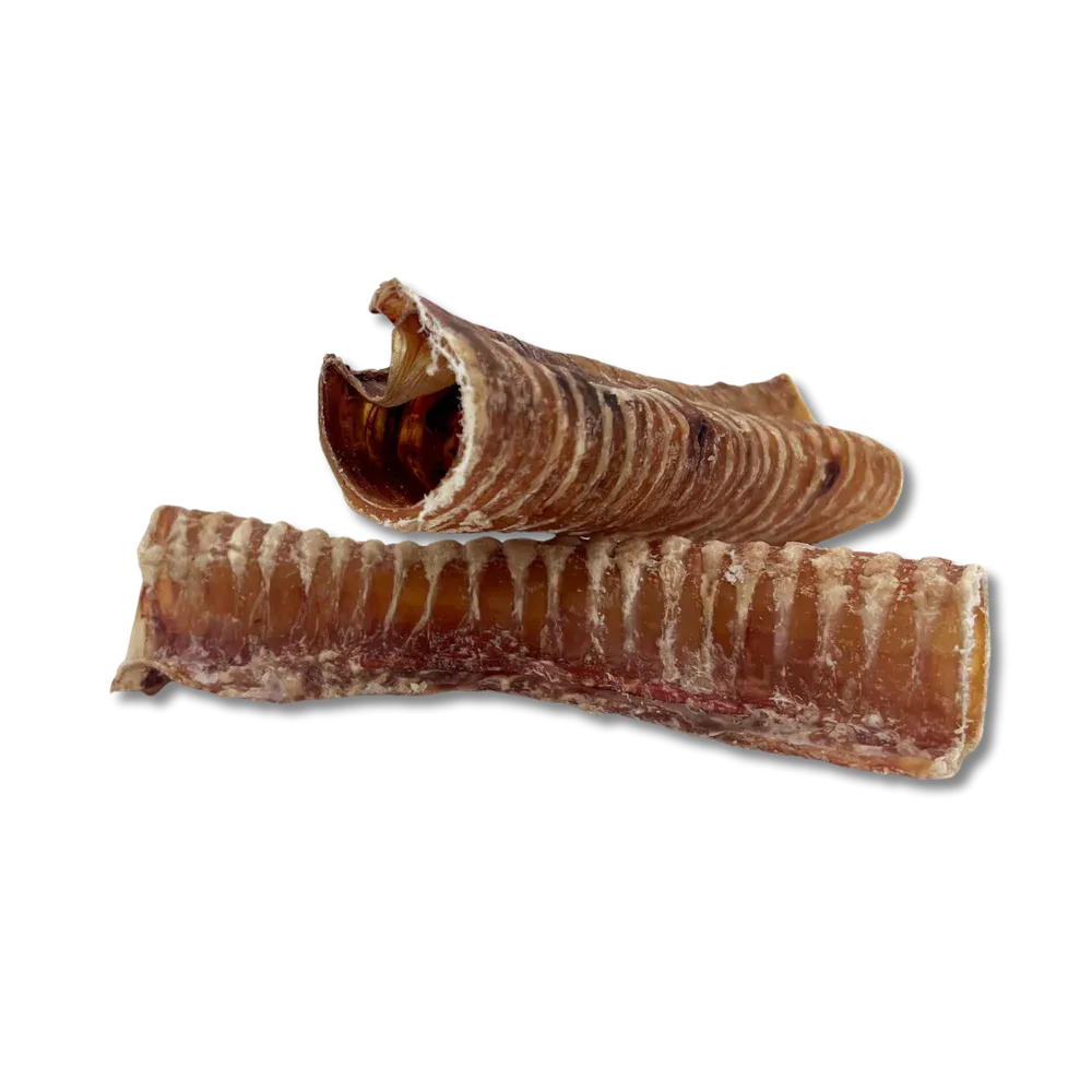 Beef Trachea 12in - Single