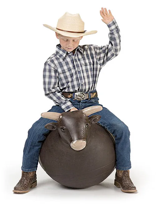 Bouncy Bull
