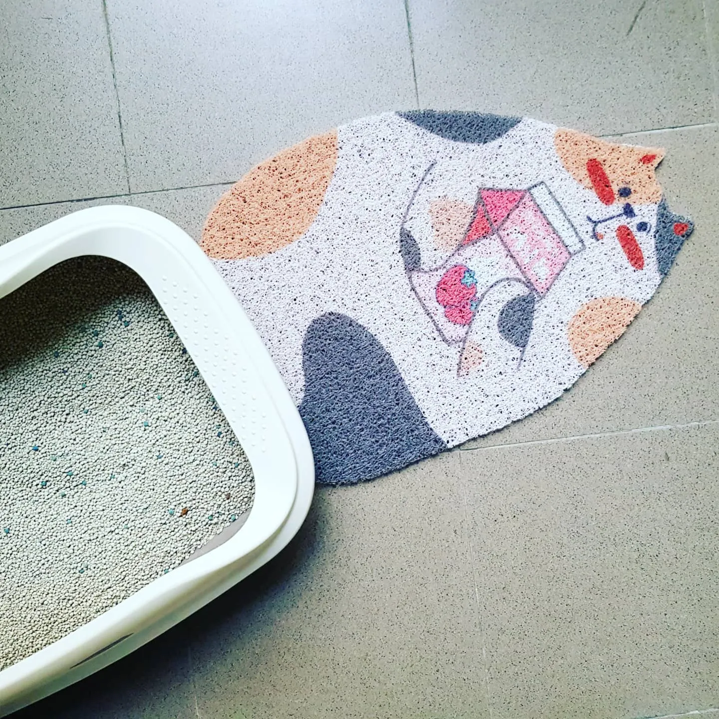 Cat Litter Mat
