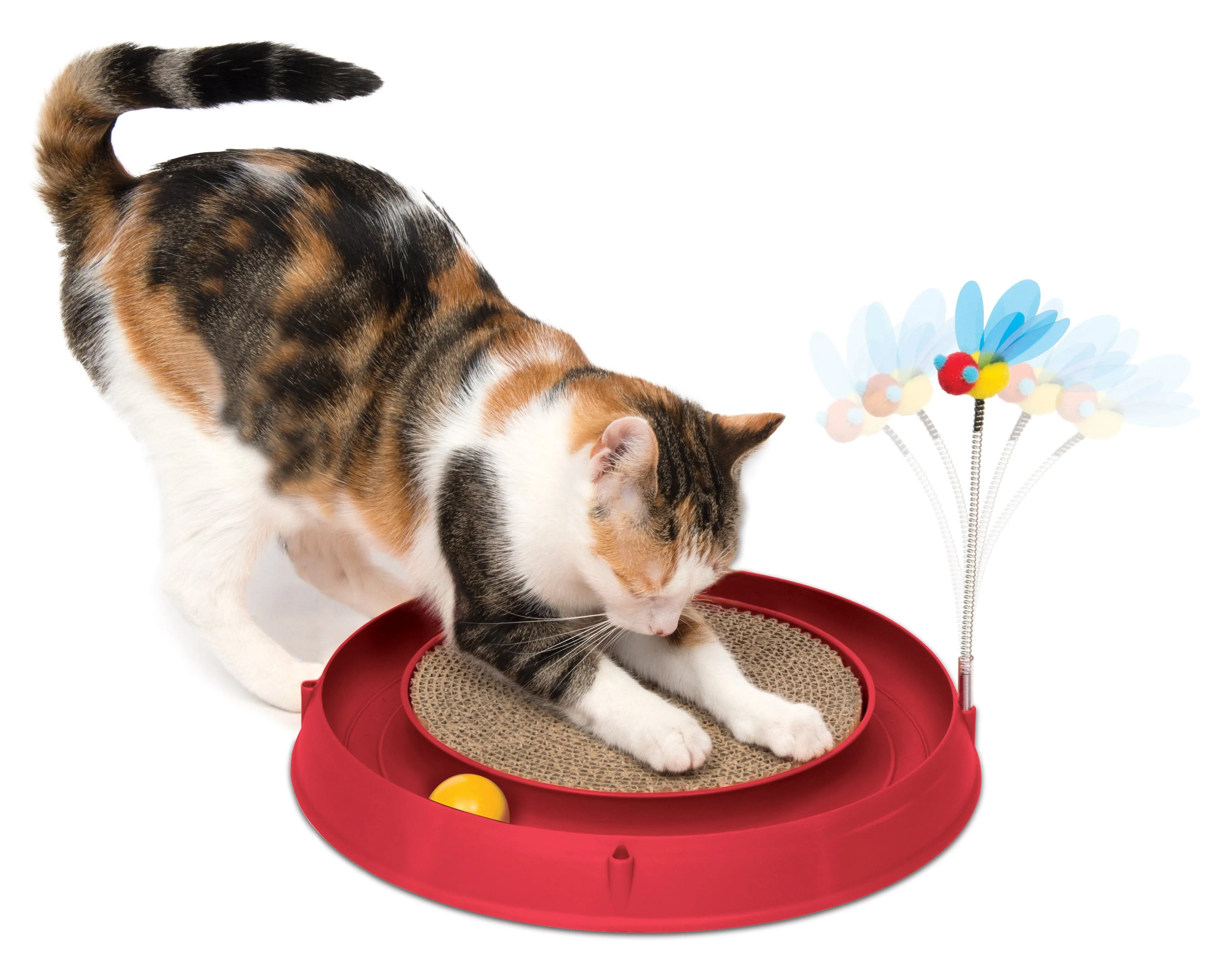 Catit Circuit Ball Toy with Scratch Pad