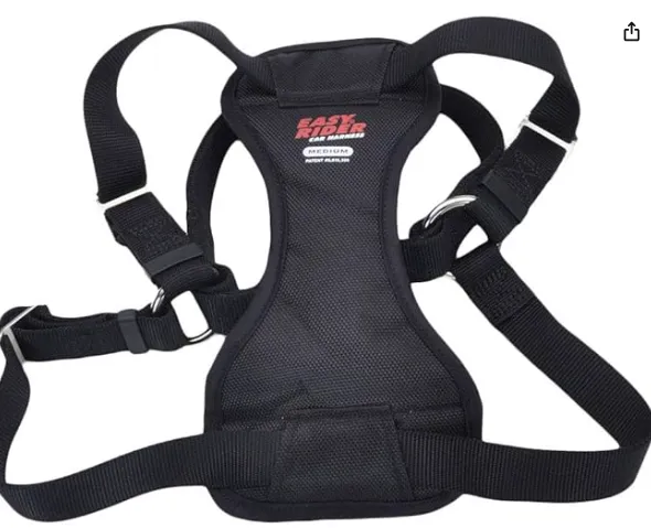 Coastal - Easy Rider - Adjustable Dog Car Harness, Black, MED (20"-30")