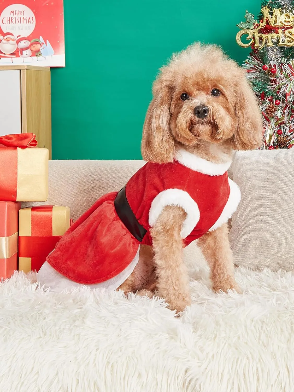 Dog Christmas Dress Santa Costumes: Puppy Girl Dresses Holiday Theme Doggie Xmas Apparel Party Skirts with Belt, Winter Warm Christmas Dog Clothes, Pet Cat Outfit (Red, M)