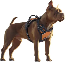 Dog Harness, Adjustable Soft Padded Dog Vest with Handle Adjustable, no-Pull, Comfortable, Safety Vest for Small, Medium, Large Size Dogs (Orange, Medium)