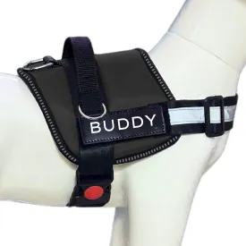 Dog Harness, No-Pull, 3 Leash Clips, No Choke, Reflective, Adjustable and Padded, for Easy Walking and Training for Small, Medium and Large Dogs (Black, L)