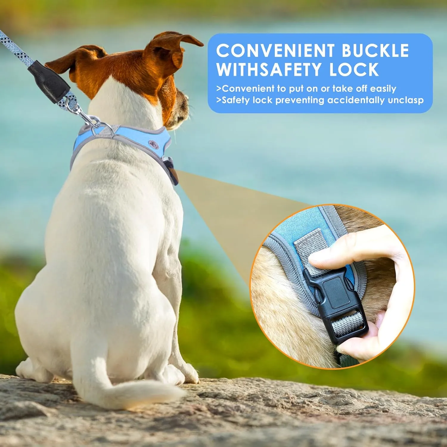 Dog Harness, No Pull Saddle Style pet Harness, Soft Ventilate Mesh, Adjustable, Reflective - for Medium, Small Dogs and Cats - Easy Walk Harness with 2 D-Rings - Blue - XS