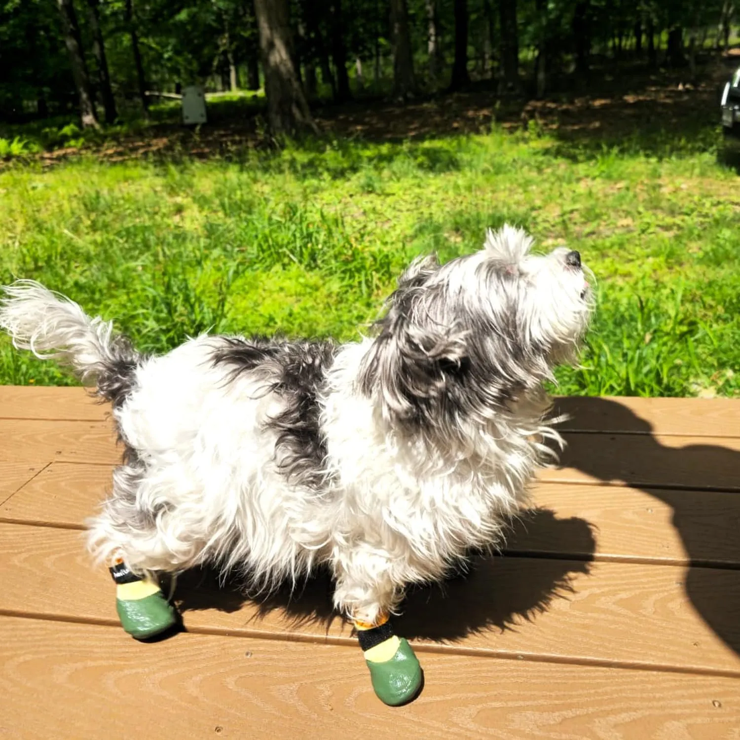 Double Dipped Waterproof Dog Socks Comfy Pawz Soft Indoor/Outdoor Dog Booties with Rubberized Bottom| Non-Slip Silicone Grip at Inner Cuff for No Twisting or Sliding Off| Adjustable Strap