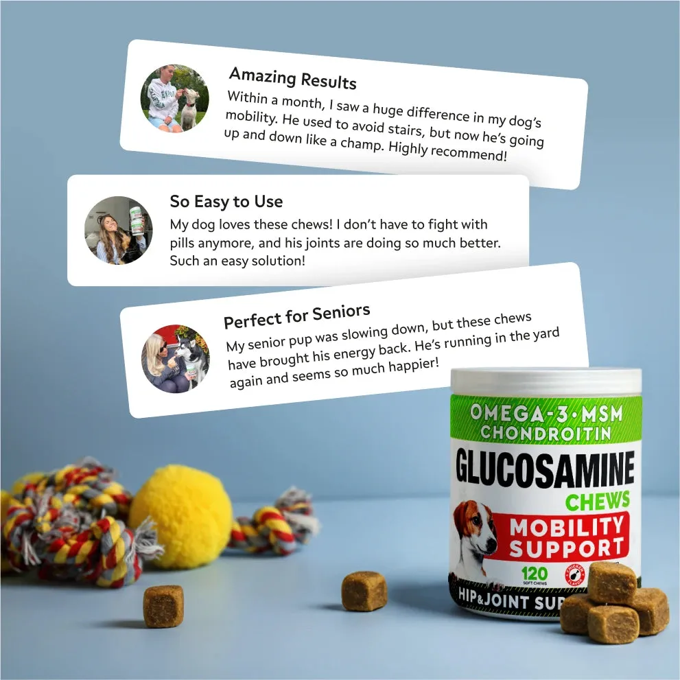 Glucosamine Mobility Chews