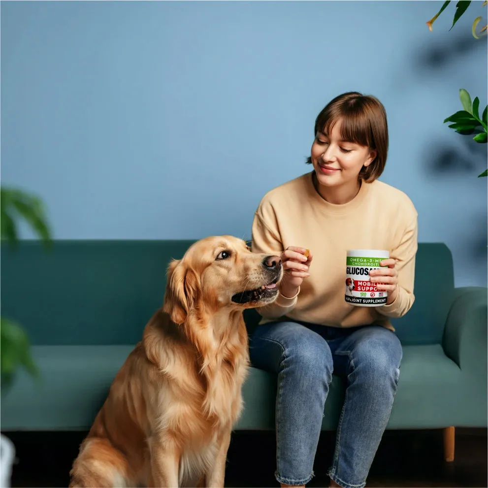 Glucosamine Mobility Chews