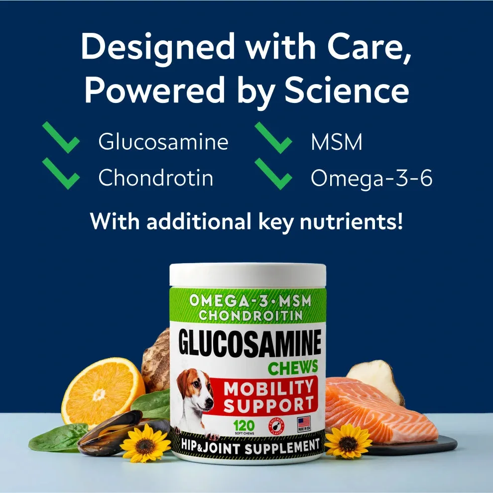 Glucosamine Mobility Chews