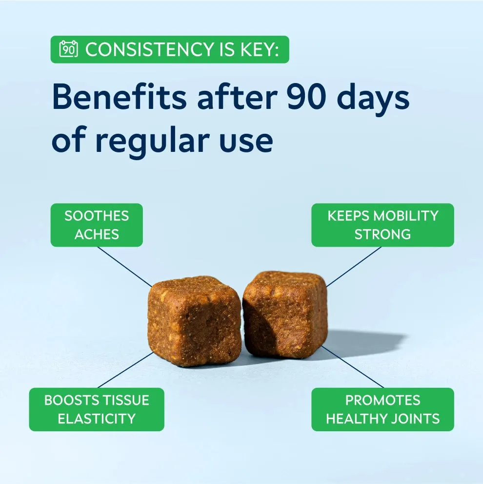 Glucosamine Mobility Chews