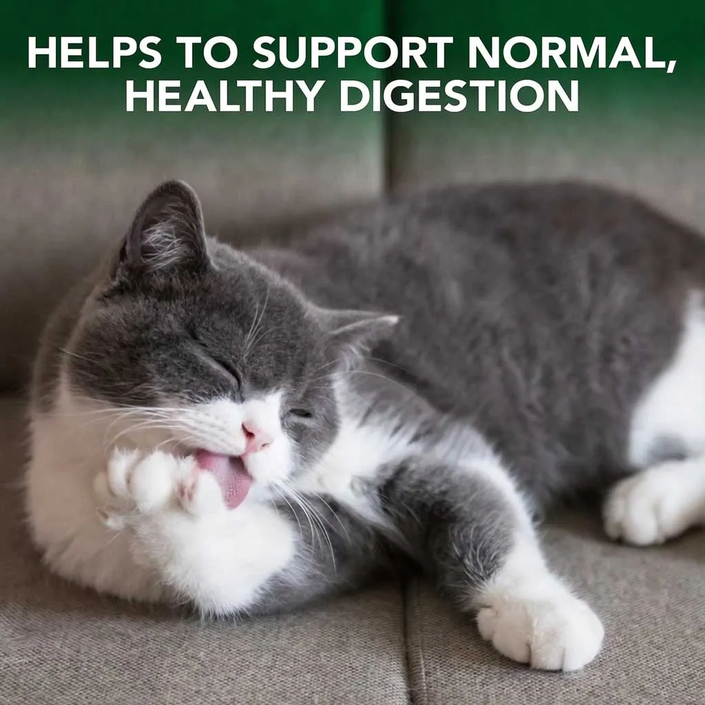 Hairball Relief Digestive Aid Chews 60ct