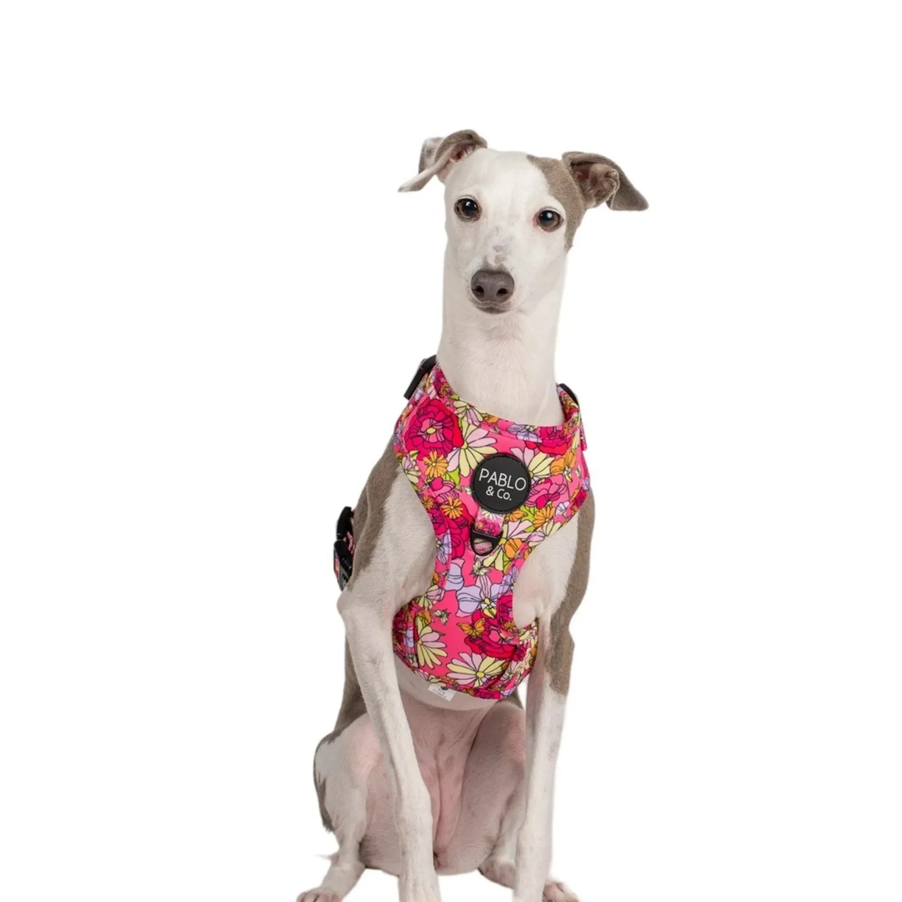 In Bloom Adjustable Harness