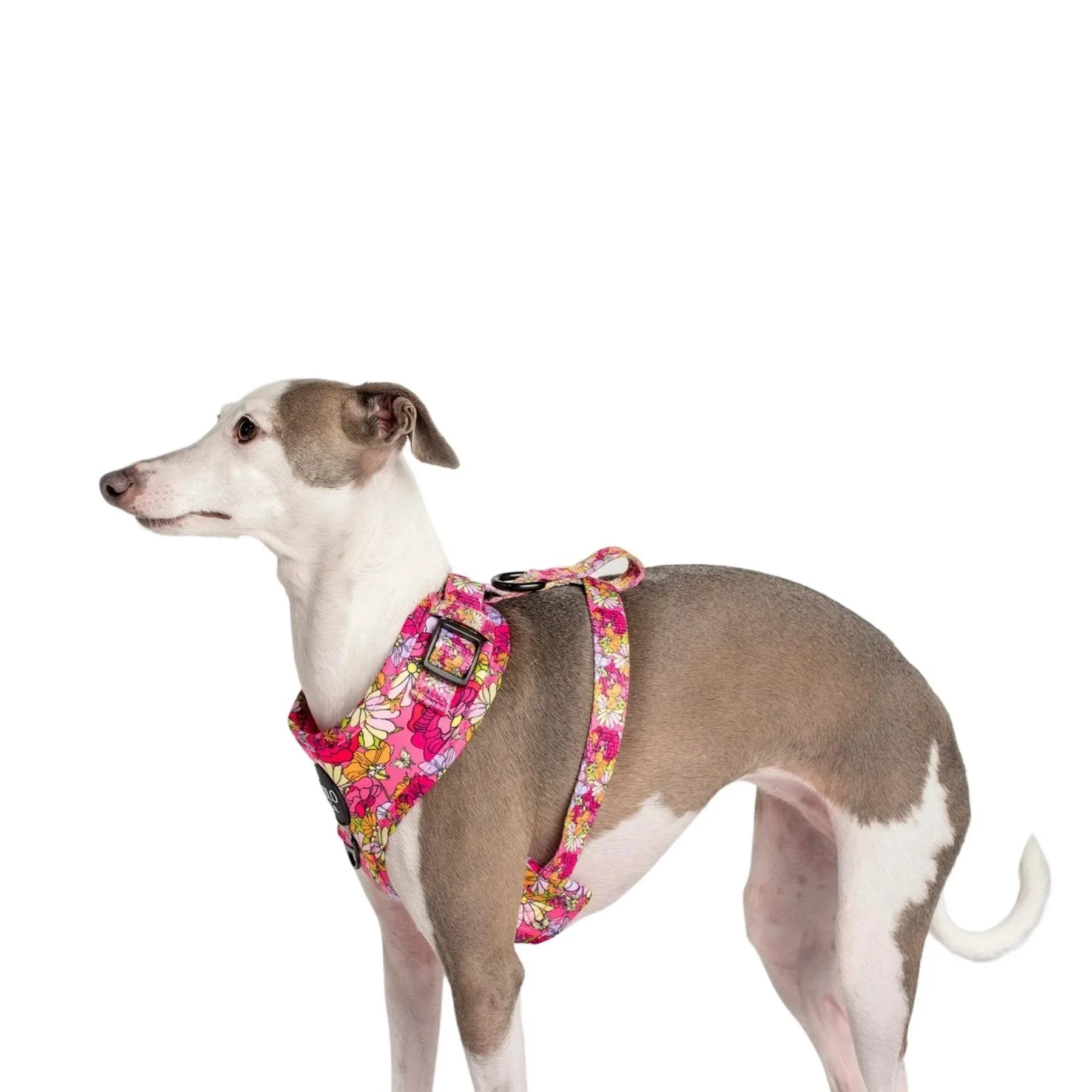 In Bloom Adjustable Harness