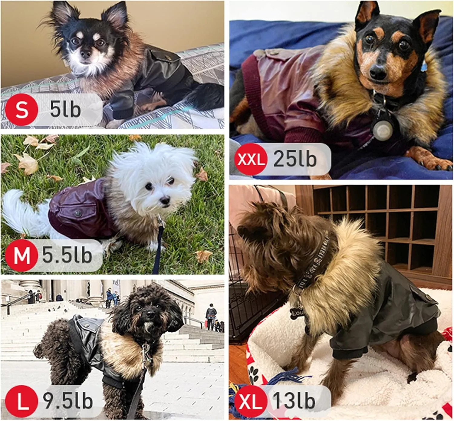 LESYPET Dog Leather Jacket for Small Dogs, Small Dog Jacket Dog Coat Double Layer with Warm Fleece Lined for Small Dogs Puppy Cat, Red XX-Large