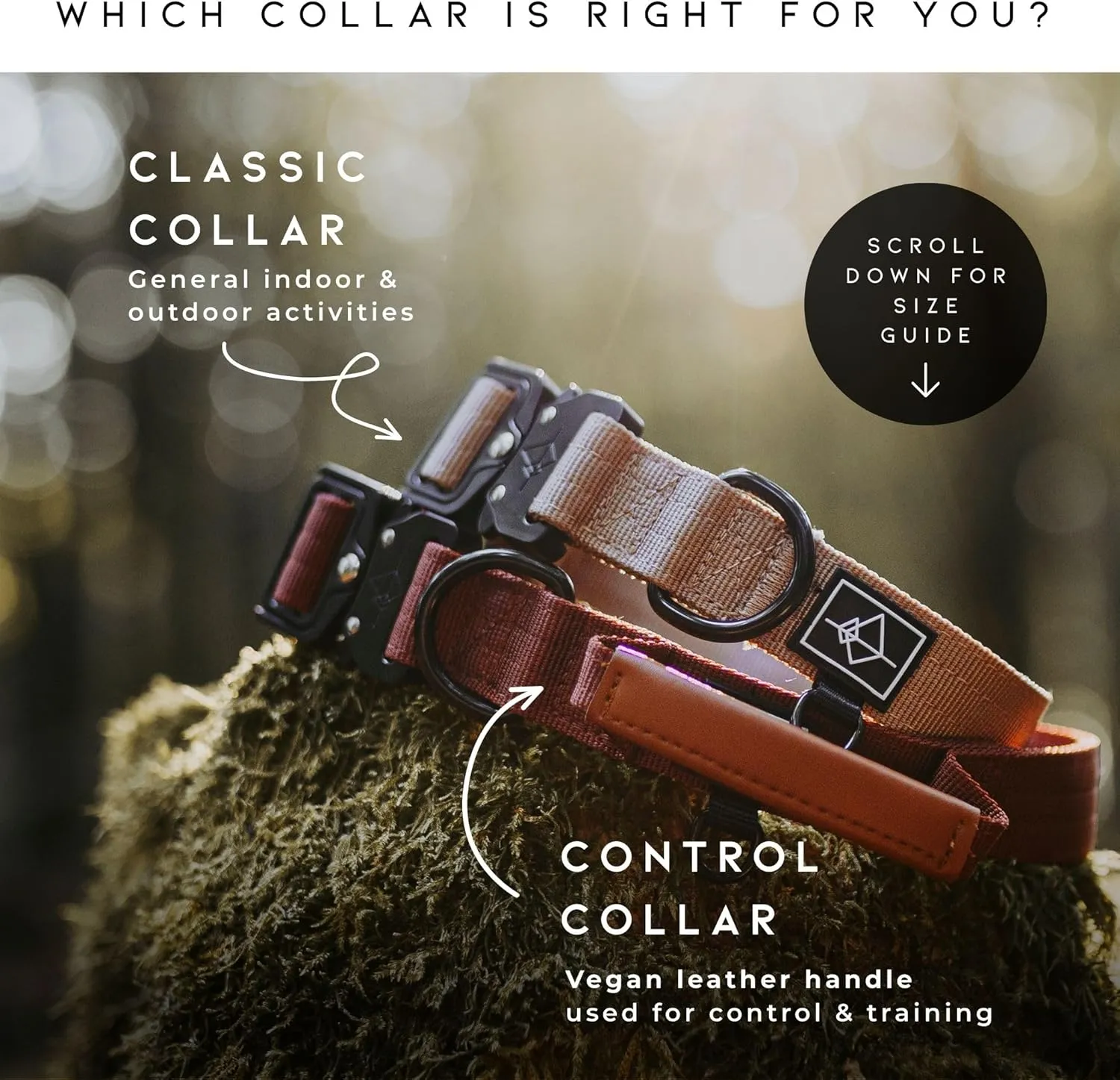 Made to ROAM Premium Dog Collar - Adjustable Heavy Duty Nylon Collar with Quick-Release Metal Buckle (Texas Flair, Classic Size 4)