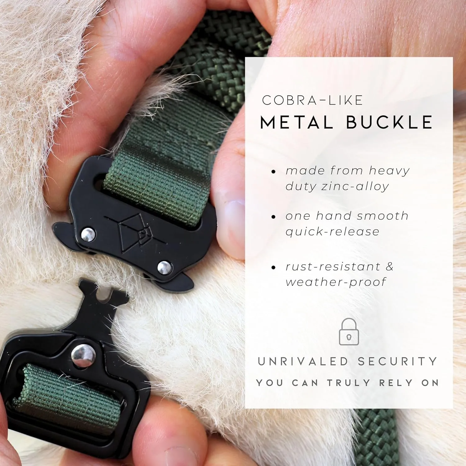 Made to ROAM Premium Dog Collar - Adjustable Heavy Duty Nylon Collar with Quick-Release Metal Buckle (Texas Flair, Classic Size 4)