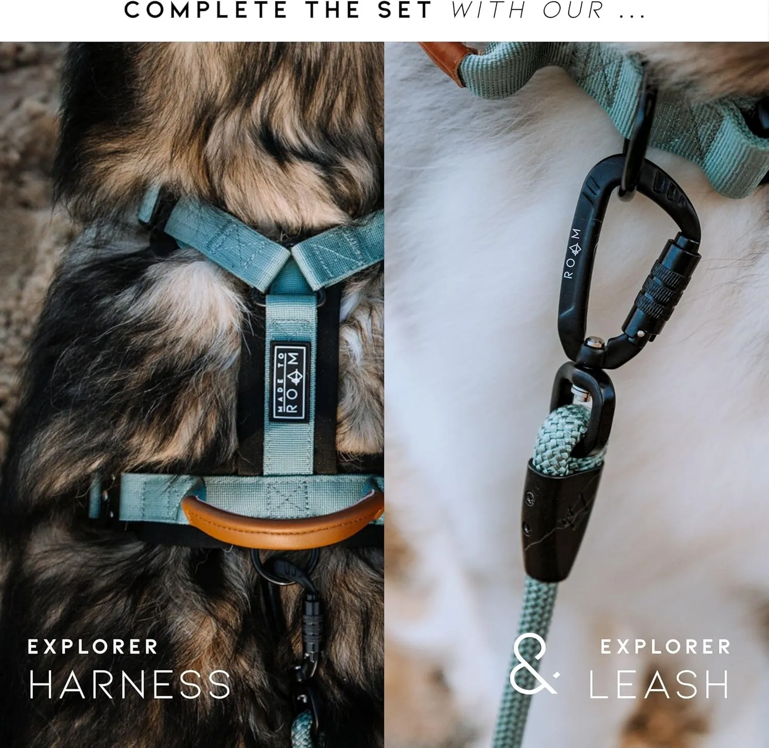 Made to ROAM Premium Dog Collar - Adjustable Heavy Duty Nylon Collar with Quick-Release Metal Buckle (Texas Flair, Classic Size 4)