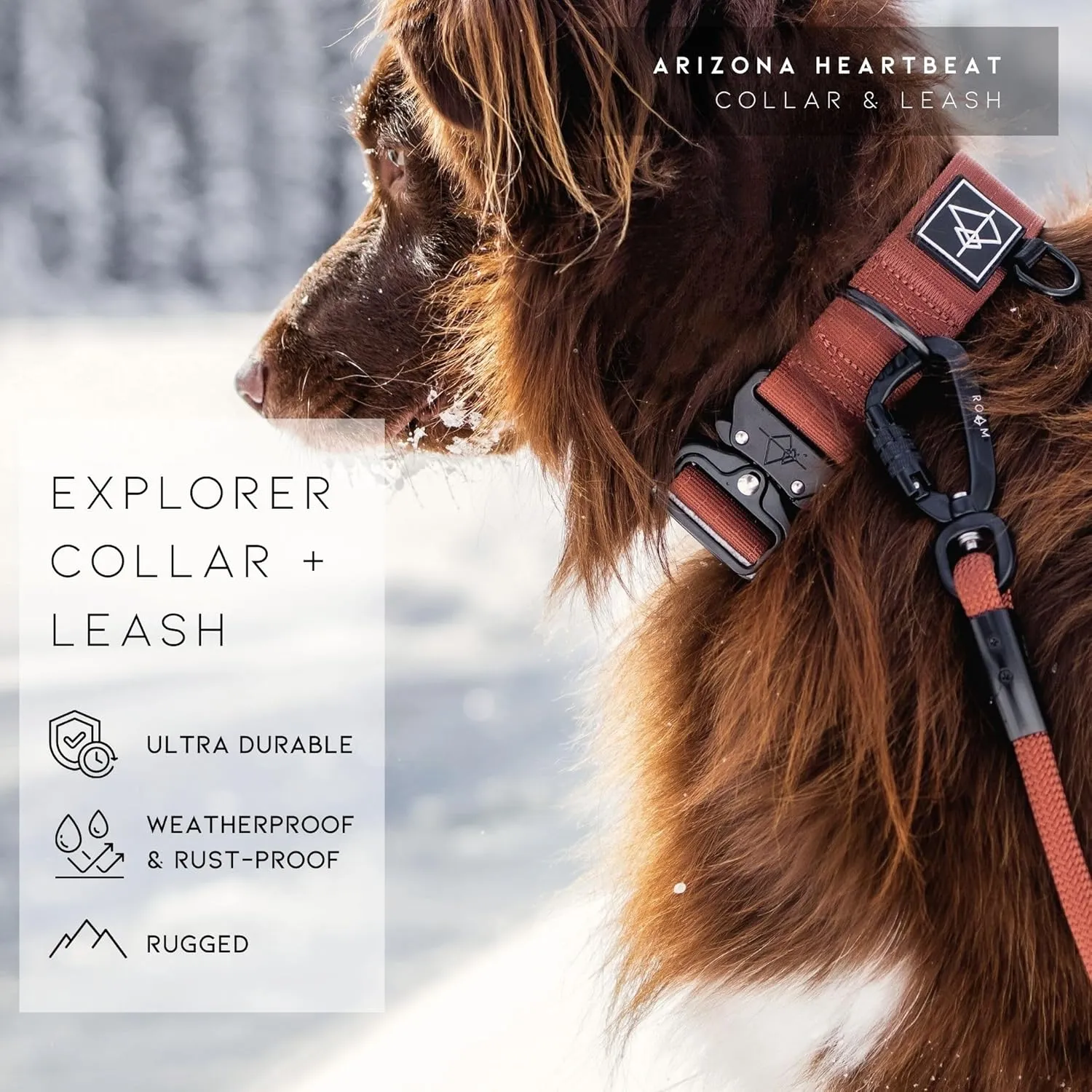 Made to ROAM Premium Dog Collar - Adjustable Heavy Duty Nylon Collar with Quick-Release Metal Buckle (Texas Flair, Classic Size 4)