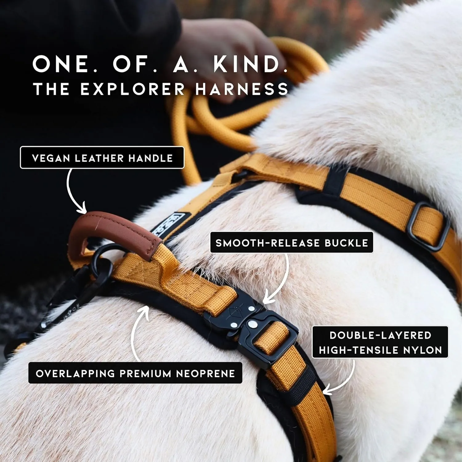 MADE TO ROAM Premium Explorer Harness - Y-Shaped Dog Harness with Adjustable Durable Nylon, Soft Padding, Metal Buckles and Leather Handle for Small, Medium, Large Dogs (Oregon Haze, Size 1)