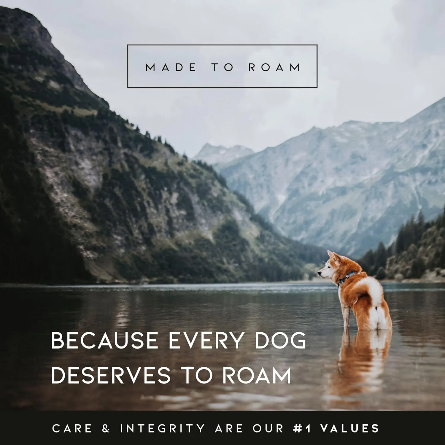 MADE TO ROAM Premium Explorer Harness - Y-Shaped Dog Harness with Adjustable Durable Nylon, Soft Padding, Metal Buckles and Leather Handle for Small, Medium, Large Dogs (Oregon Haze, Size 1)