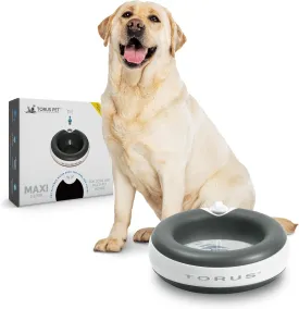 MAXI Filtered Water Bowl (Charcoal) - 2-Liter - Travel - Home - Auto-Fill - Portable Dispenser  Food Grade  Cleantech - BPA-Free - Dog  Cat  No Spill - No Splash