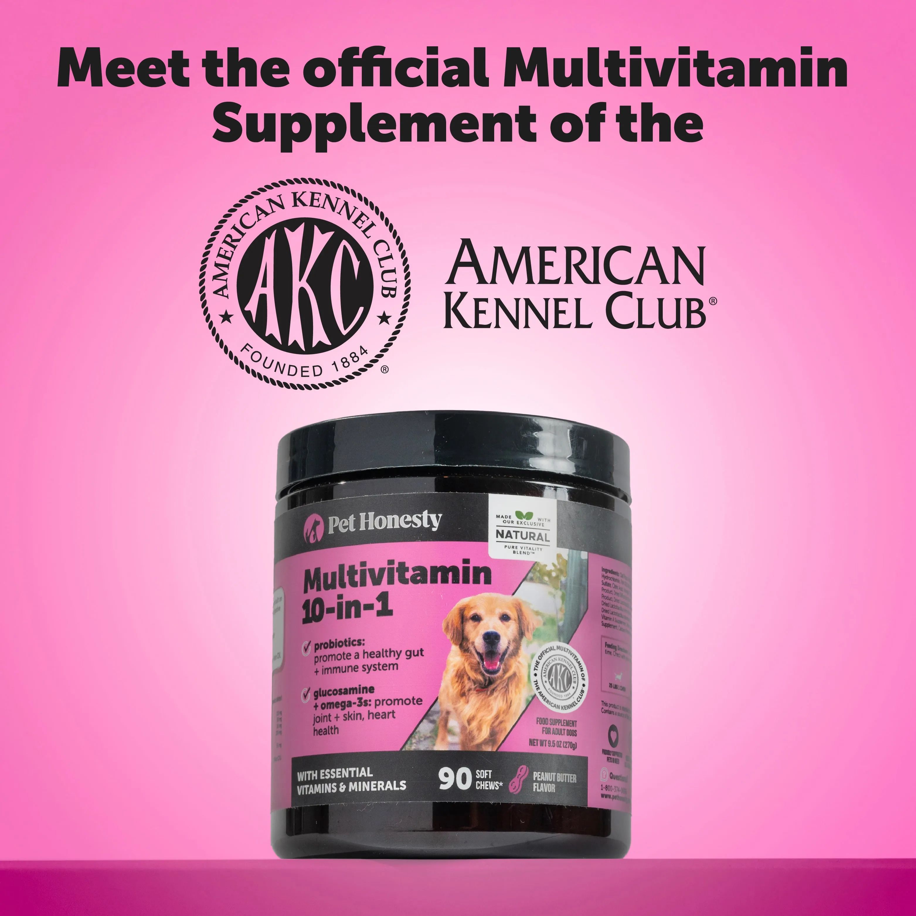 Multivitamin 10-in-1 (Chicken Flavor)