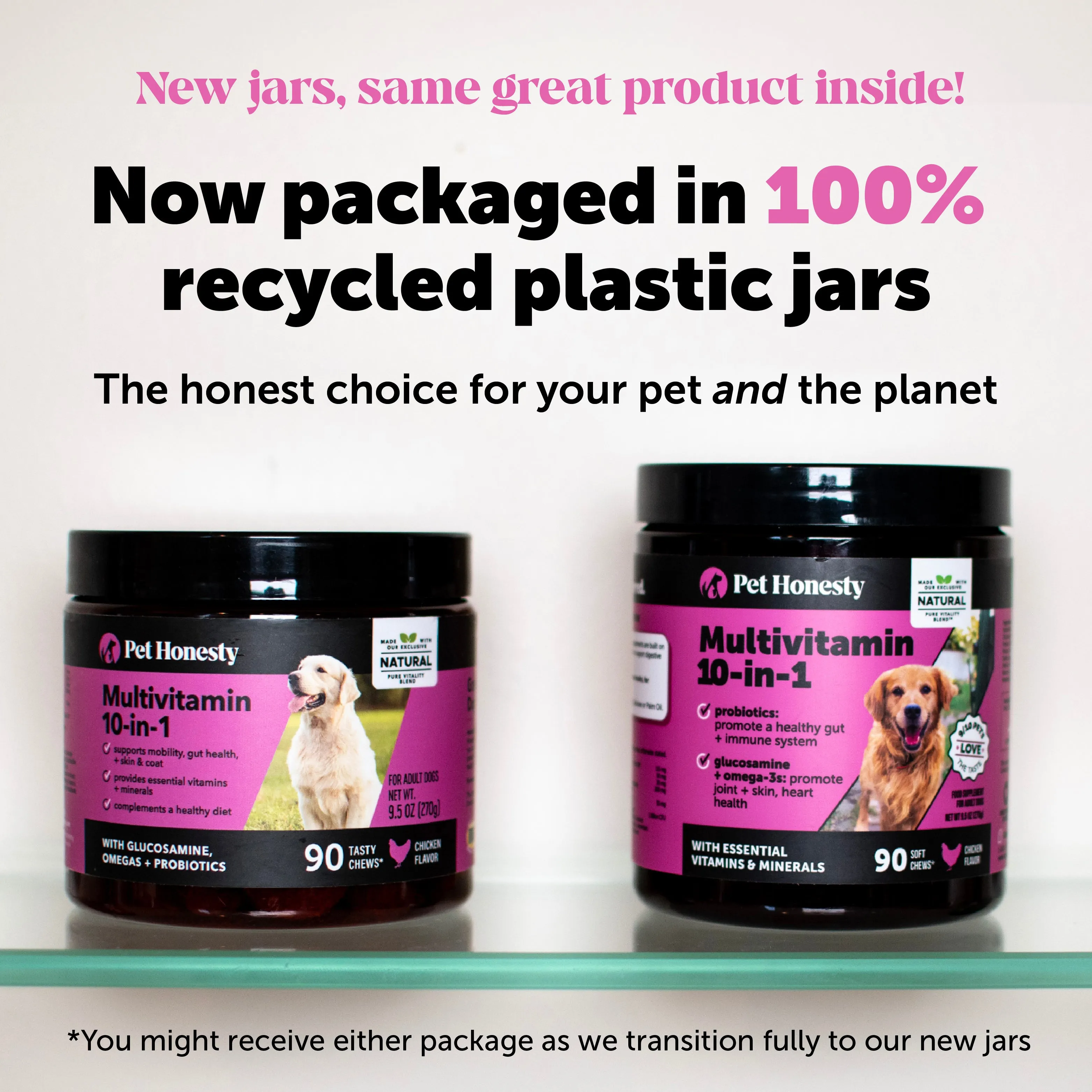 Multivitamin 10-in-1 (Chicken Flavor)