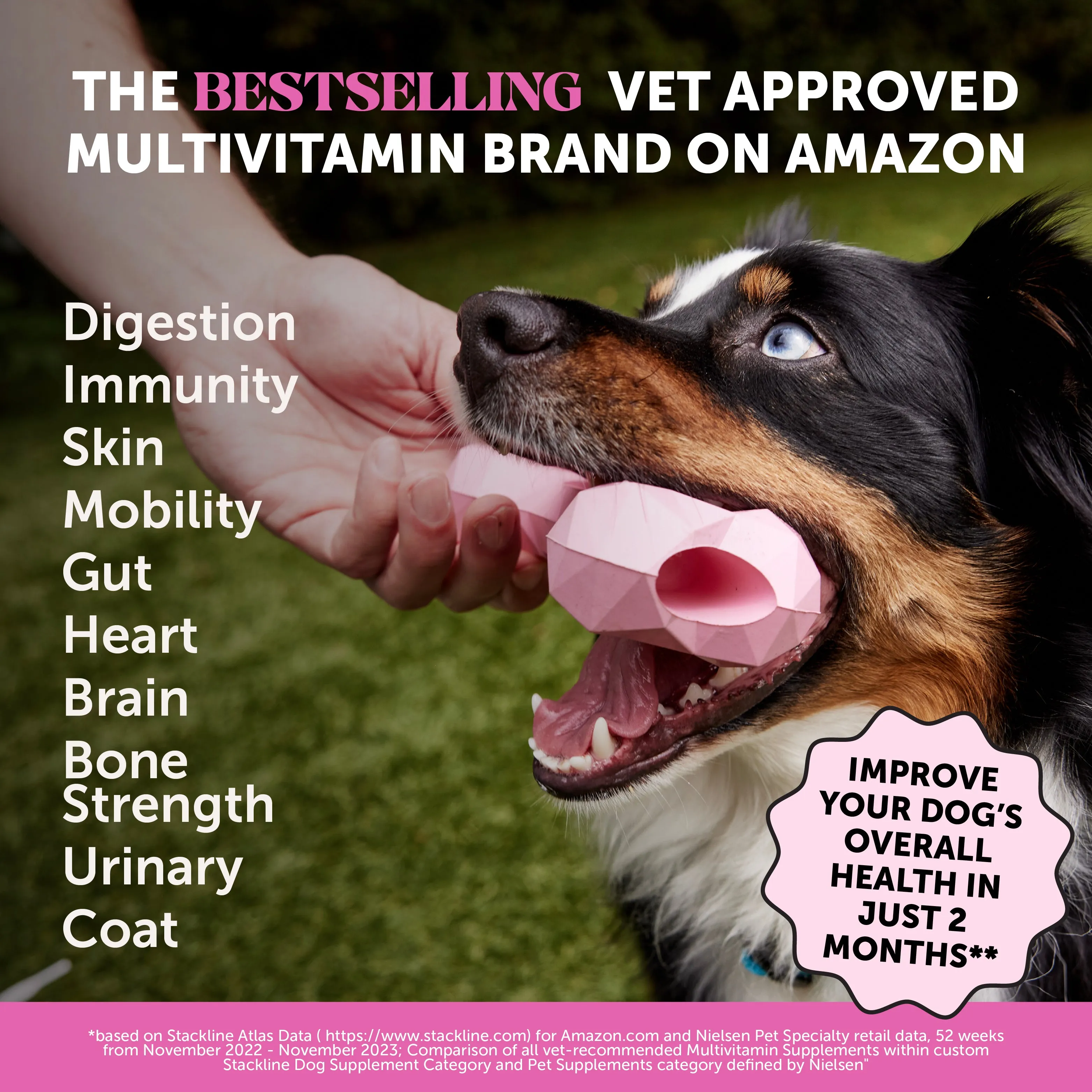 Multivitamin 10-in-1 (Chicken Flavor)