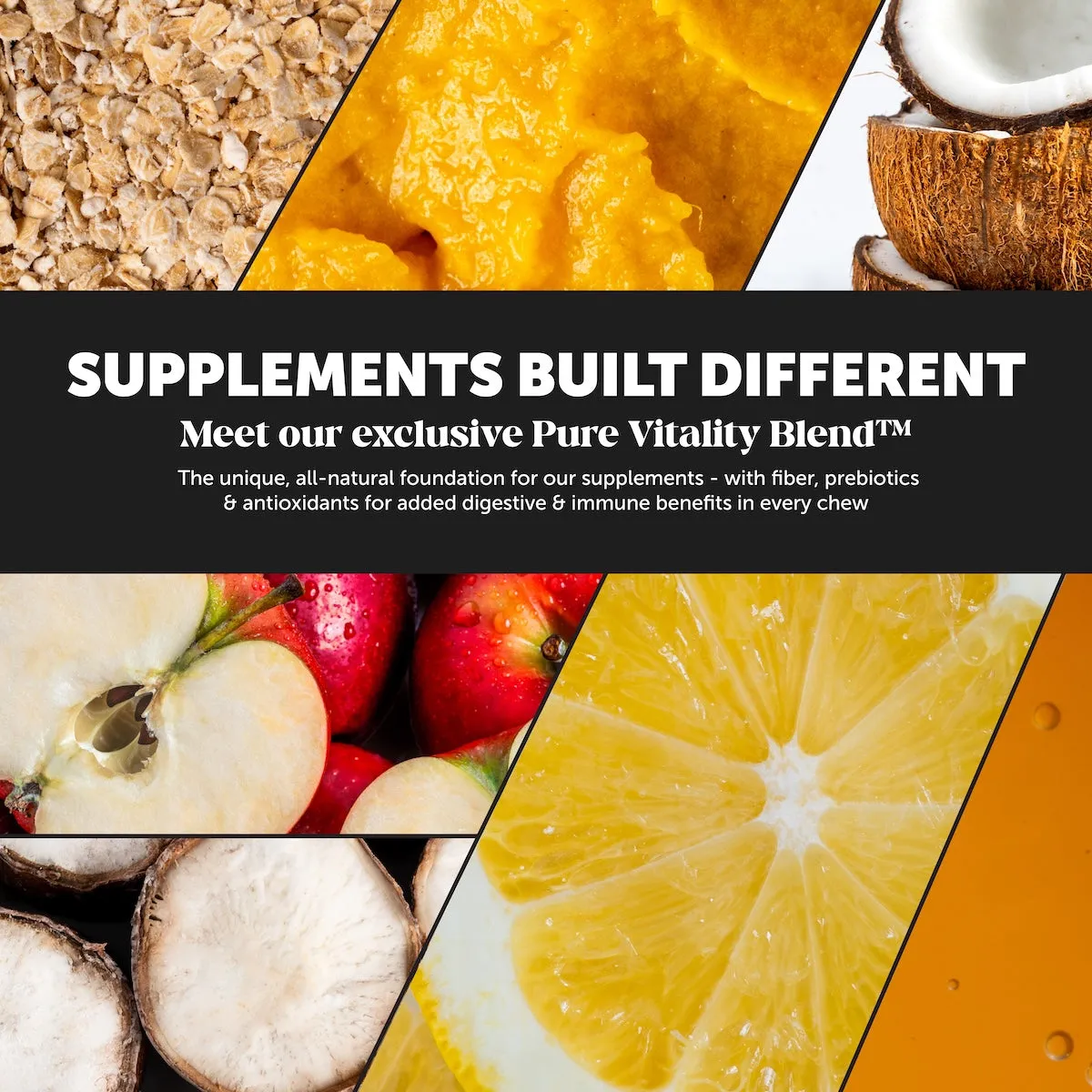 Multivitamin 10-in-1 (Chicken Flavor)