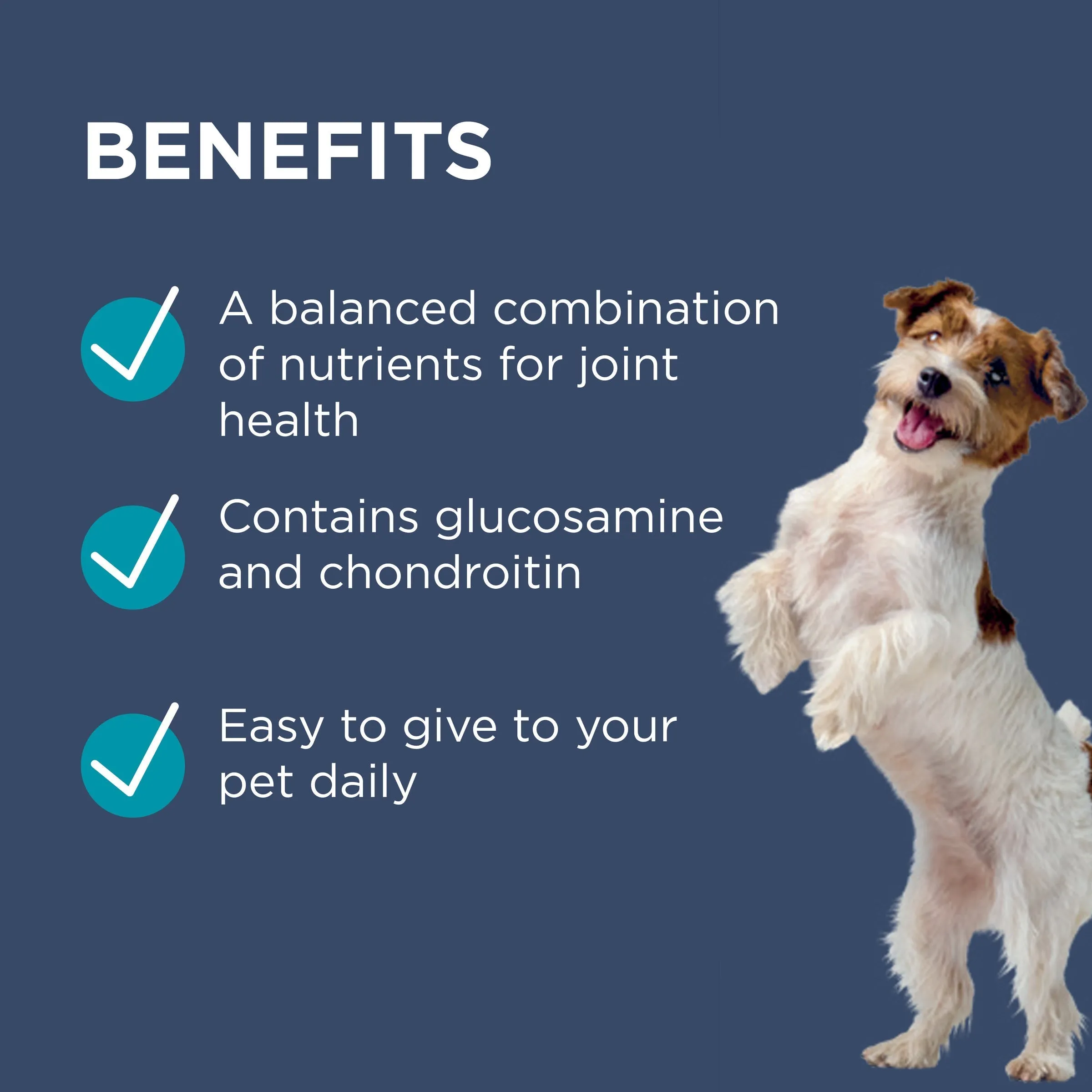 PAW by Blackmores Osteocare Joint Protect Small Chews for Dogs 75g