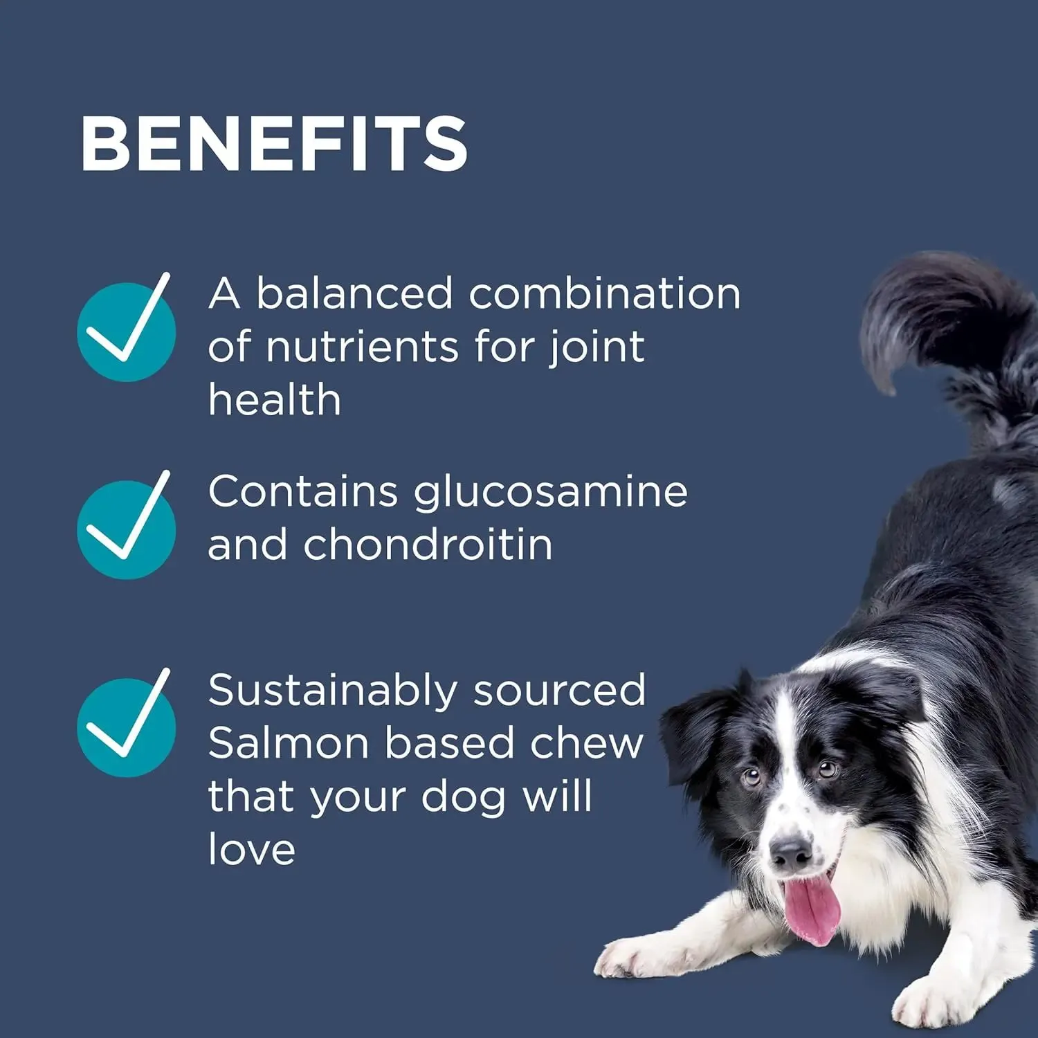 PAW - Osteocare Chews (Joint Supplement for Dogs) 500g - 100 Chews
