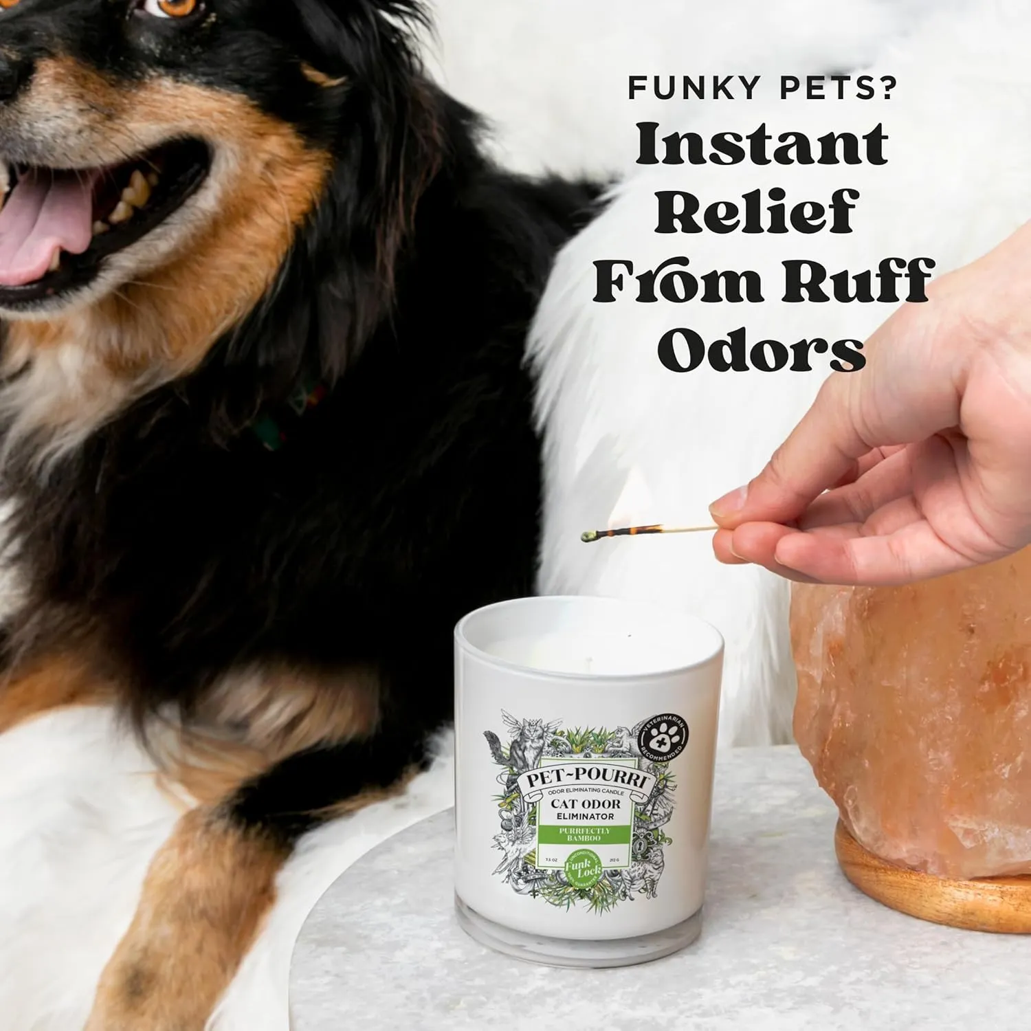 Poo-Pourri Purrfectly Bamboo Cat Deodorizer Candle  Cat Safe Plant Based Ingredients & Wax  Vet Approved  Aromatherapy & Air Freshener for Kitty Odor  Scented with Bamboo, Jasmine & Pear