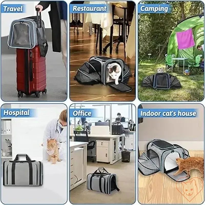 Portable Foldable Cat Carrier Backpack with Breathable Design