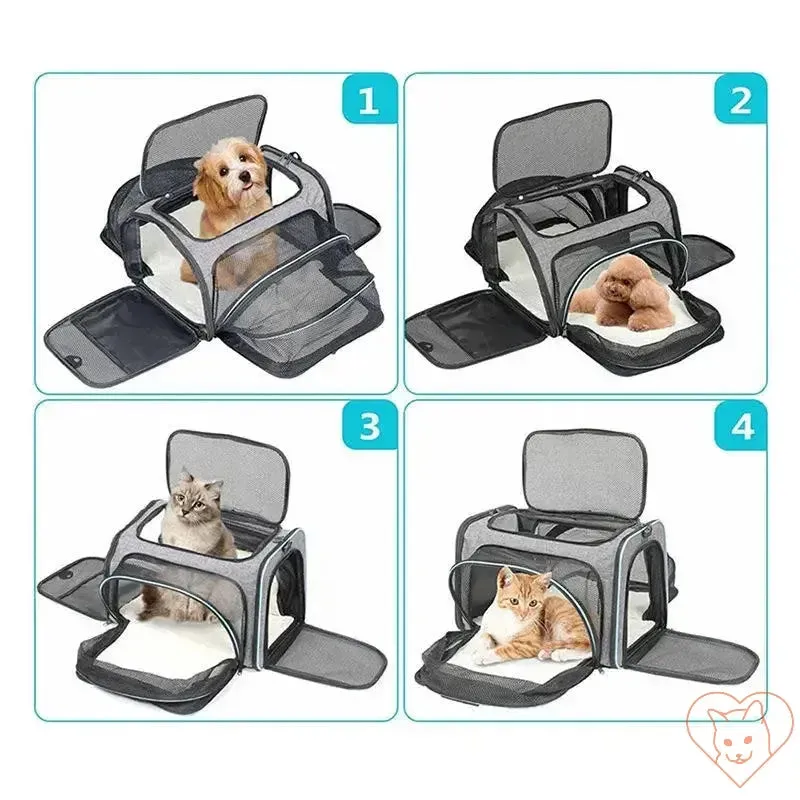 Portable Foldable Cat Carrier Backpack with Breathable Design