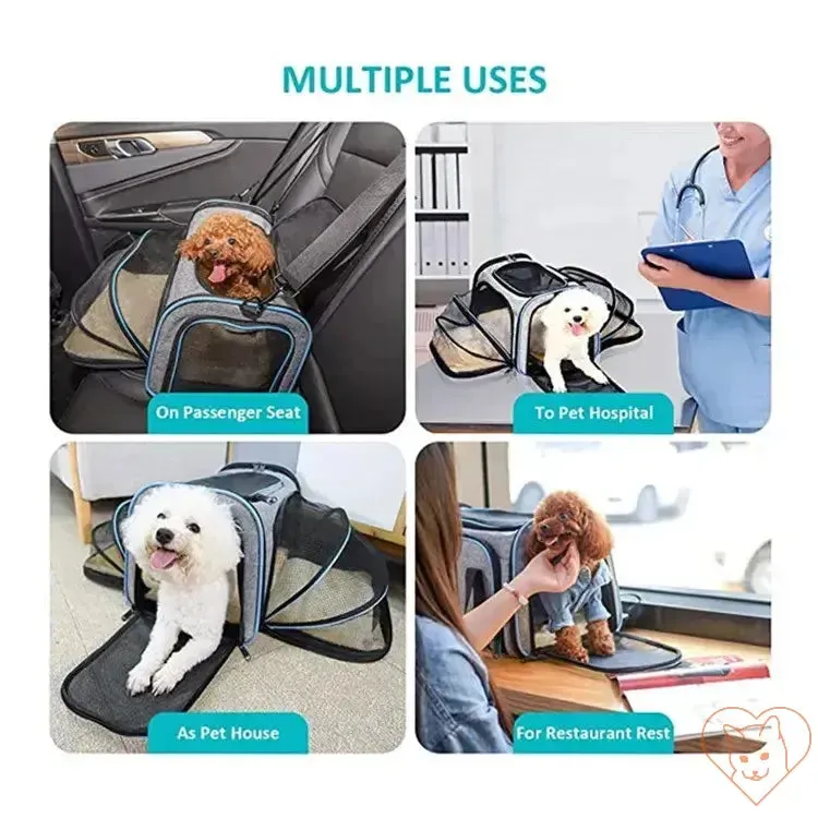 Portable Foldable Cat Carrier Backpack with Breathable Design
