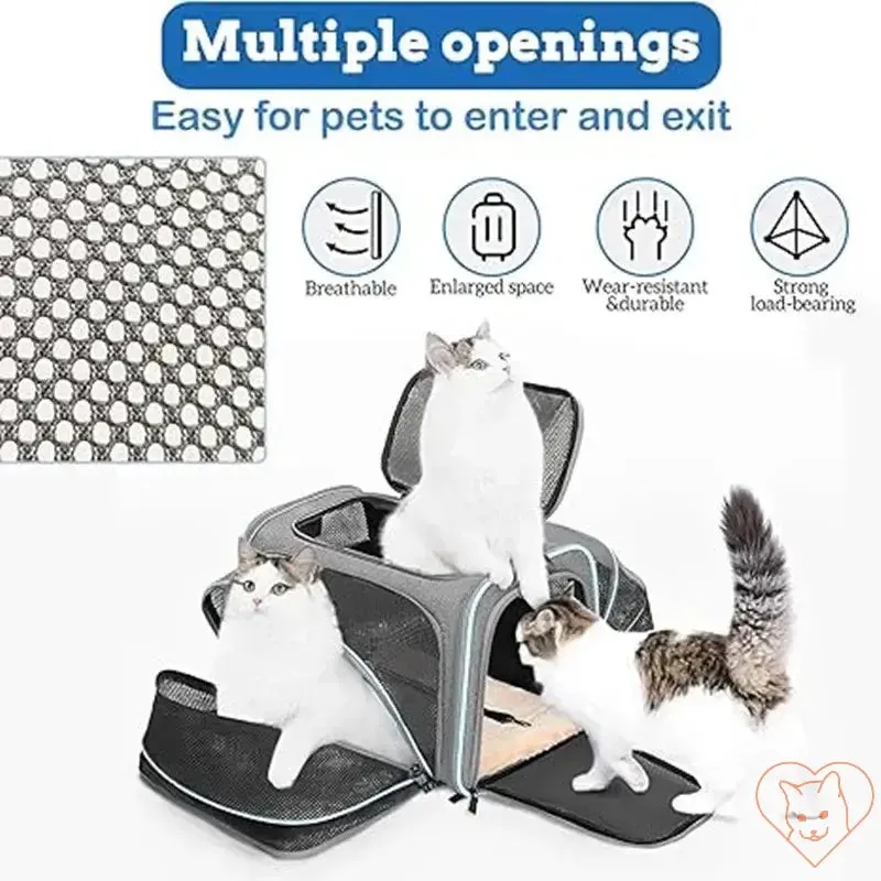 Portable Foldable Cat Carrier Backpack with Breathable Design