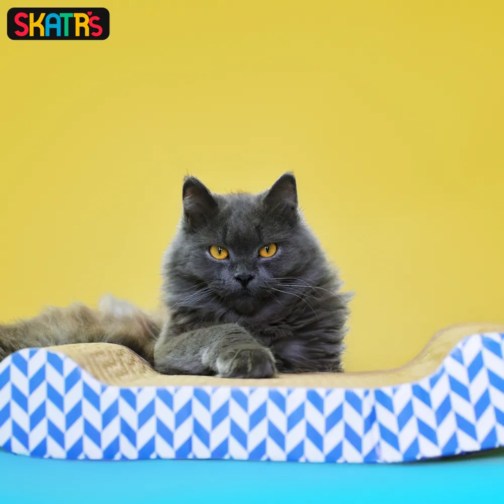 Skatrs Lounge Corrugated Cardboard Scratcher Pad Toy With Catnip for Cats (Length 38cm)
