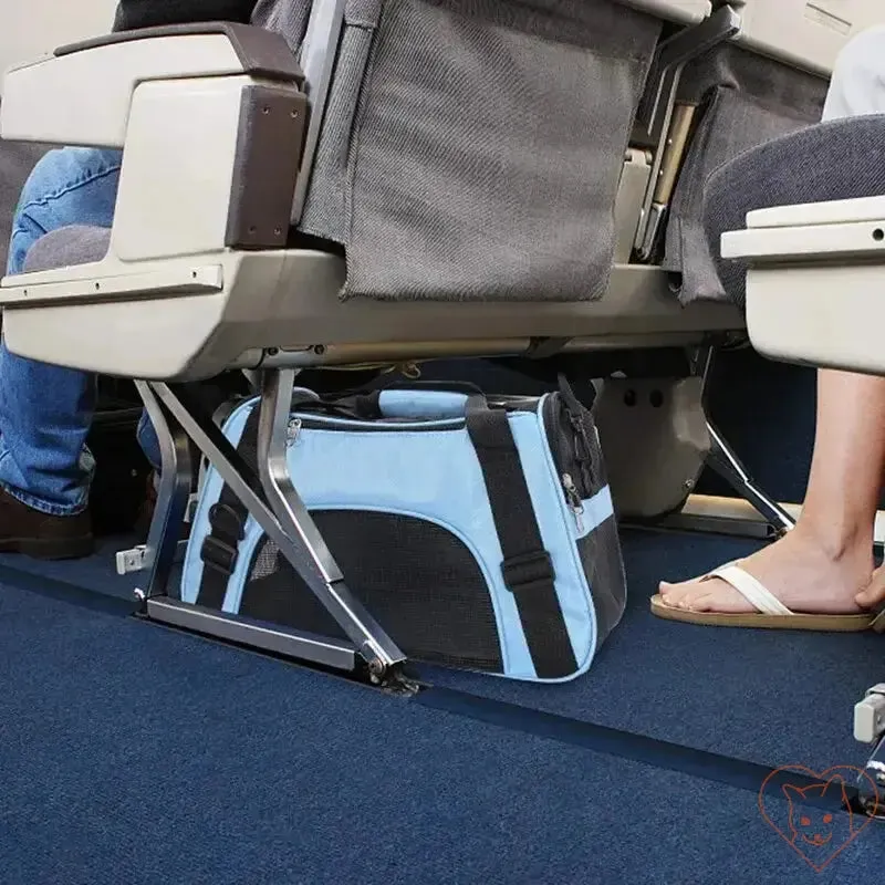 Soft-Sided Cat Carrier – Portable, Comfortable, and Foldable