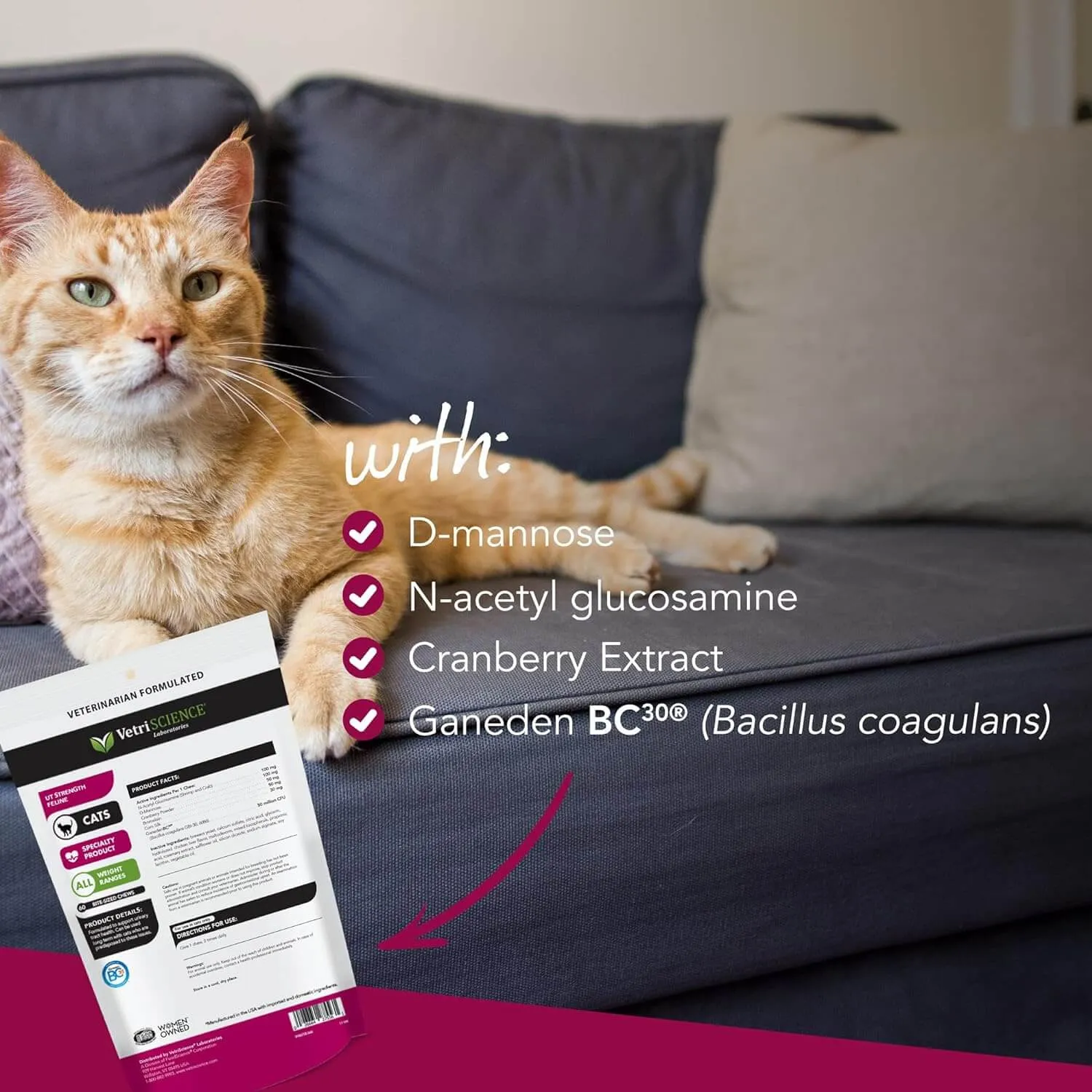 VetriScience UT Strength Feline Supplement