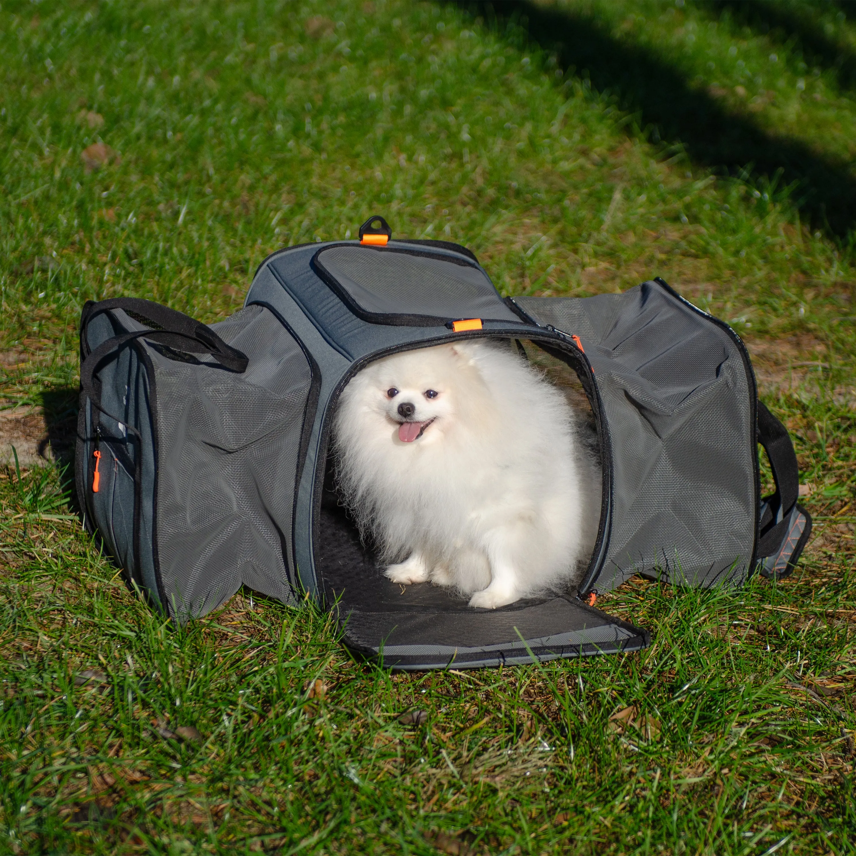VOYAGER CARRIER PRO