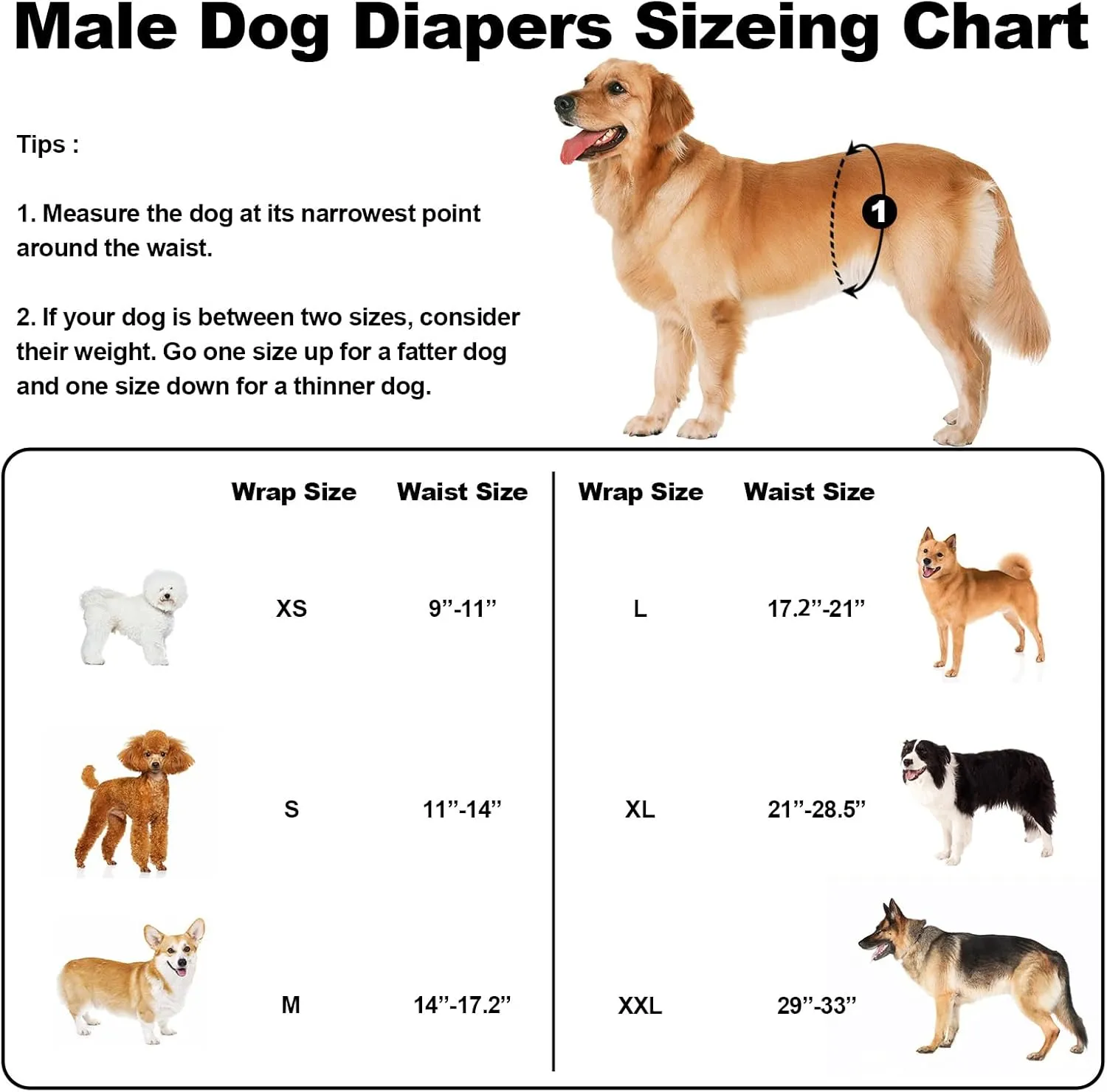 Washable Dog Diapers Male Reusable, Premium Belly Bands for Male Dogs, Pack of 3, High Absorbing Extra Large Male Dog Pee Wraps for Doggies in Incontinence or Excitable Urination and Training(XL)